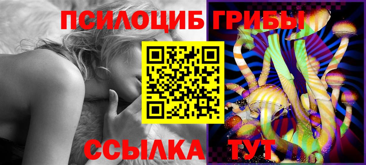 Псилоцибиновые грибы Magic Shrooms Переславль-Залесский