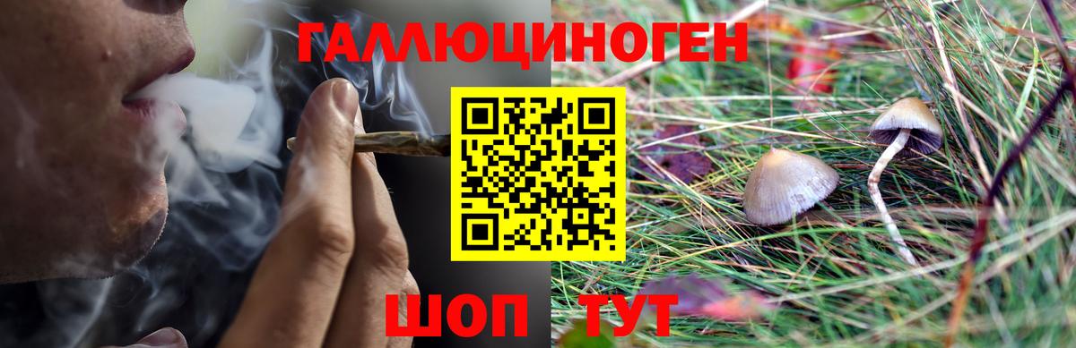 Переславль-Залесский  Псилоцибиновые грибы мухоморы  Галлюциногенные грибы мухоморы  Вход с VPN 